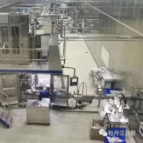 中俄跨境乳制品加工廠項目 前5個月產(chǎn)值增長超300%，奶制品批發(fā)與進出口蓬勃發(fā)展