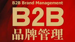 B2B品牌管理 構(gòu)建信任與價值的戰(zhàn)略核心
